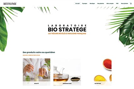 Bio Stratège Ingrédients